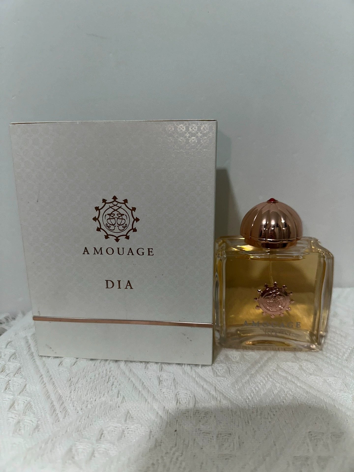 190326-70 Amodia women Perfume 100ml 3.4oz