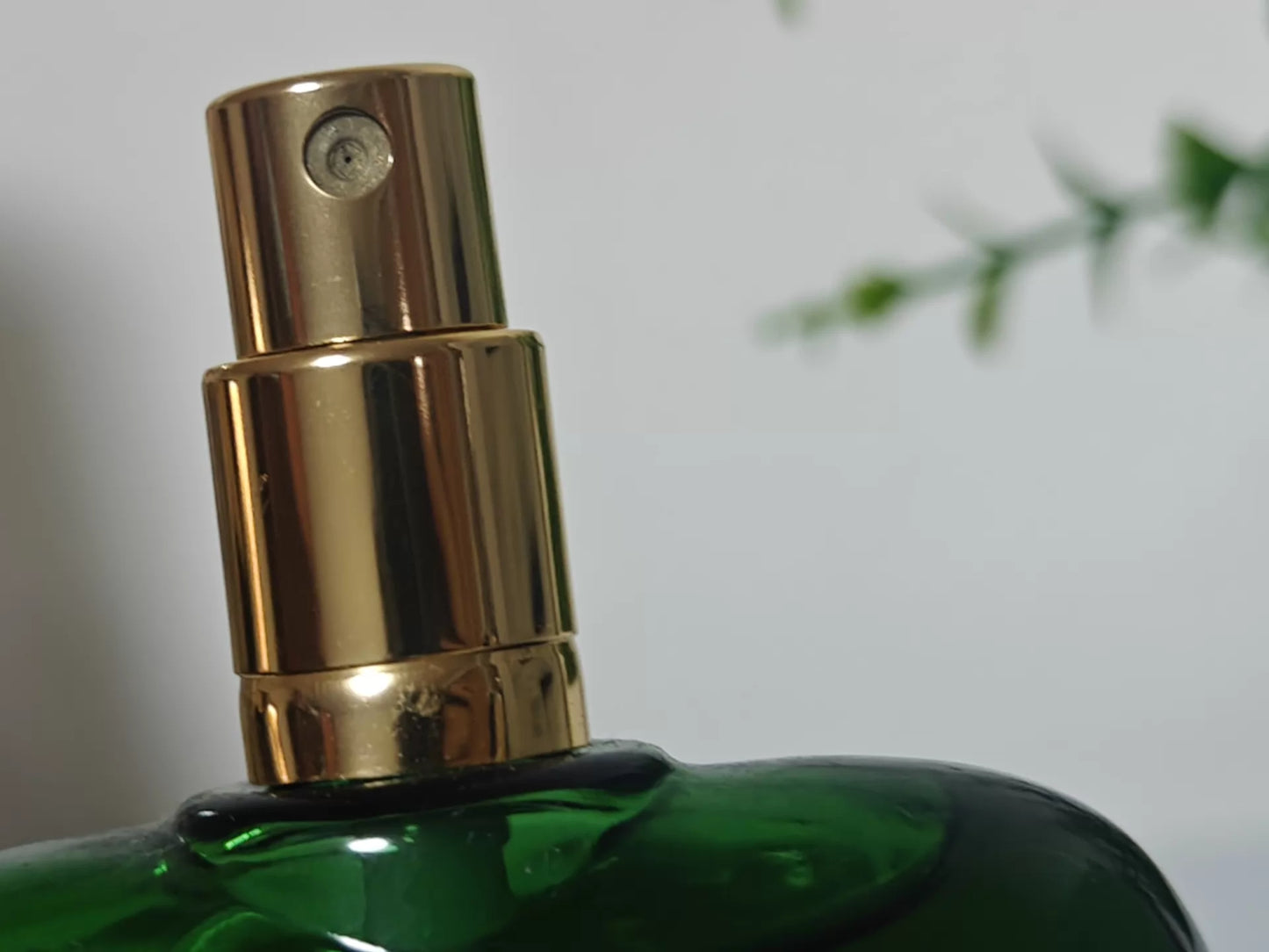 210526-3 Green Polo Perfume 118ml 4 oz