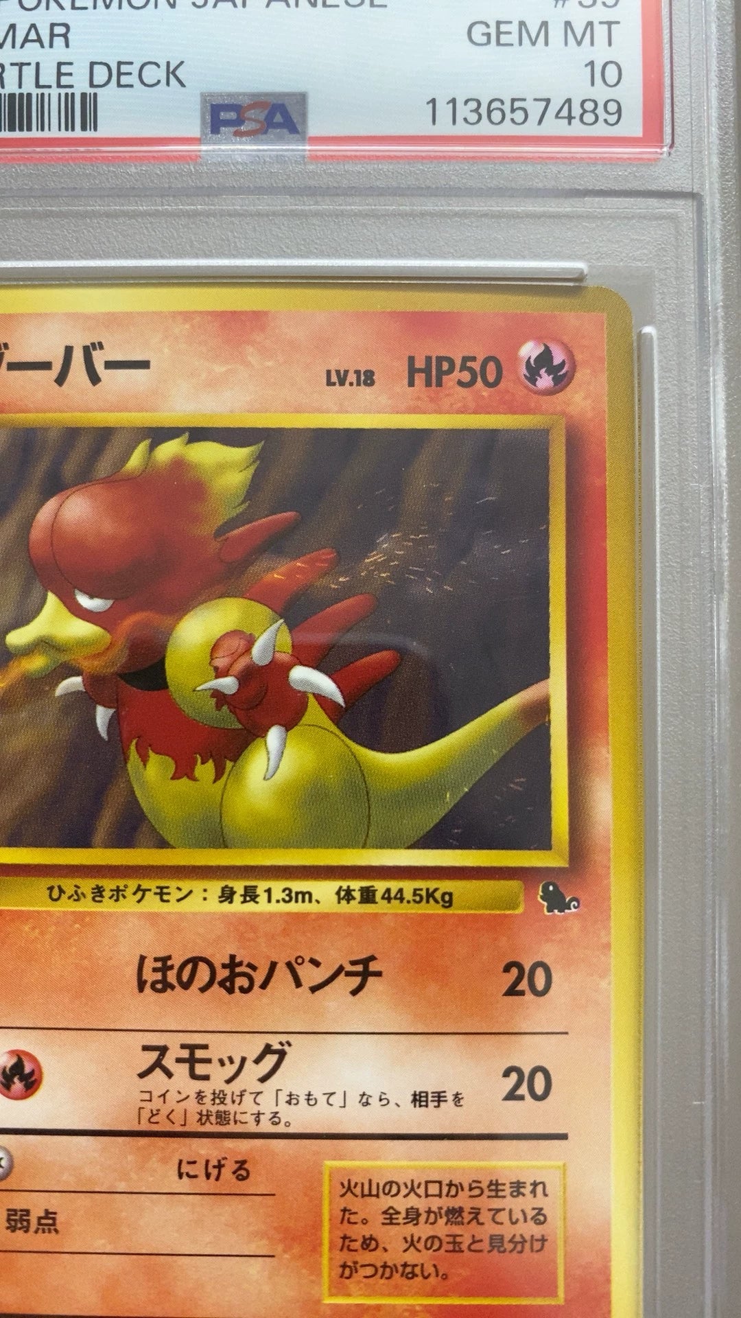 0825-game-80 PTCG Pokemon Card 10 points Balloped Beast