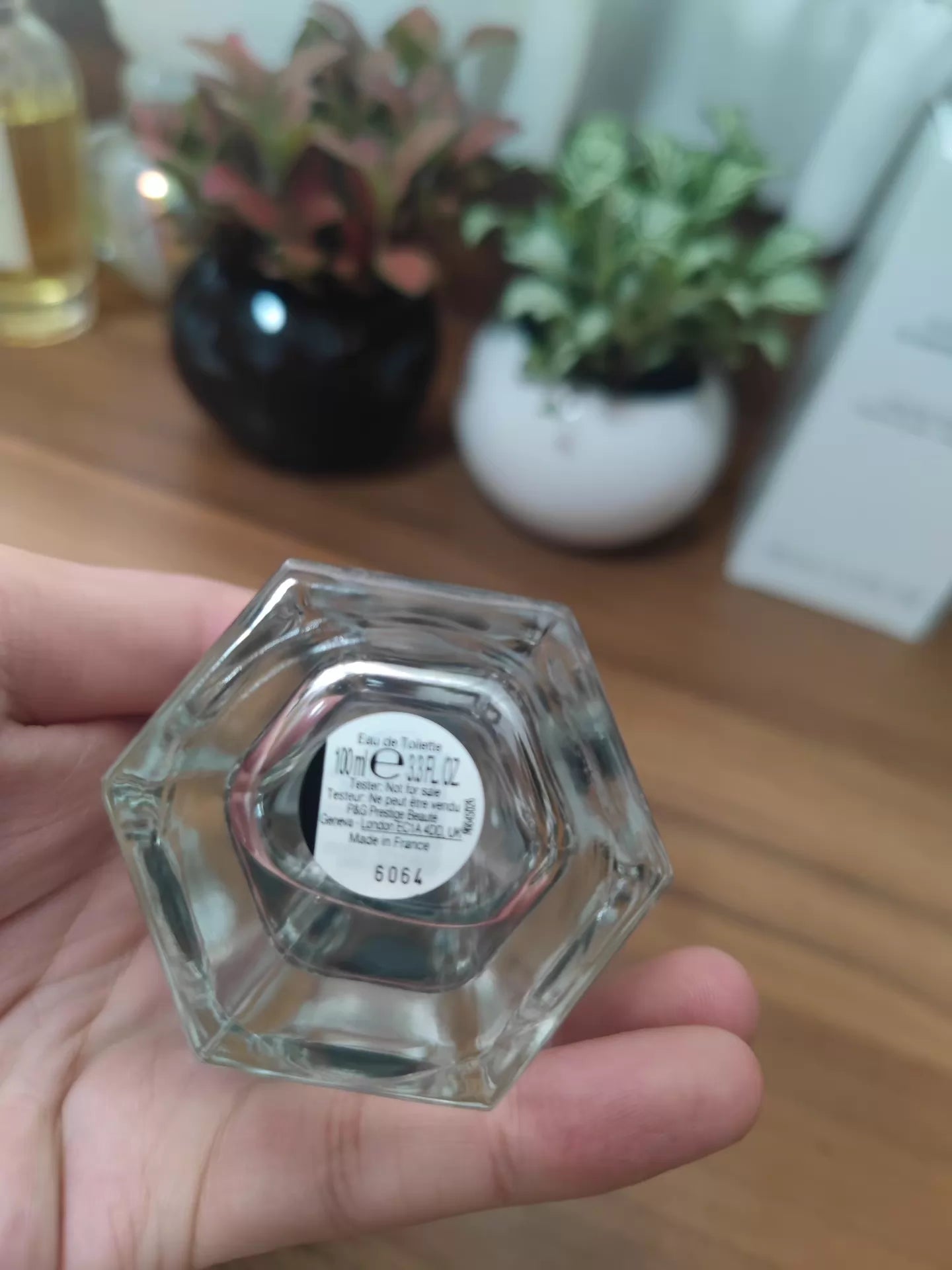 040926-15 Gucci Enchanting Magnolia Perfume 100ml 3.4 oz
