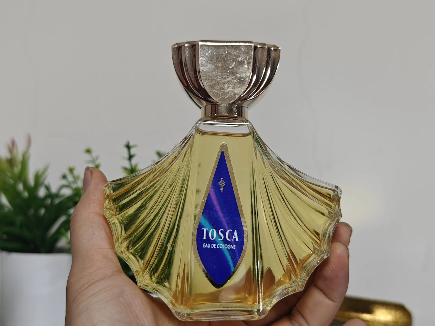 080826-69 tosca dip bottle Cologne 175ml 5.9 oz