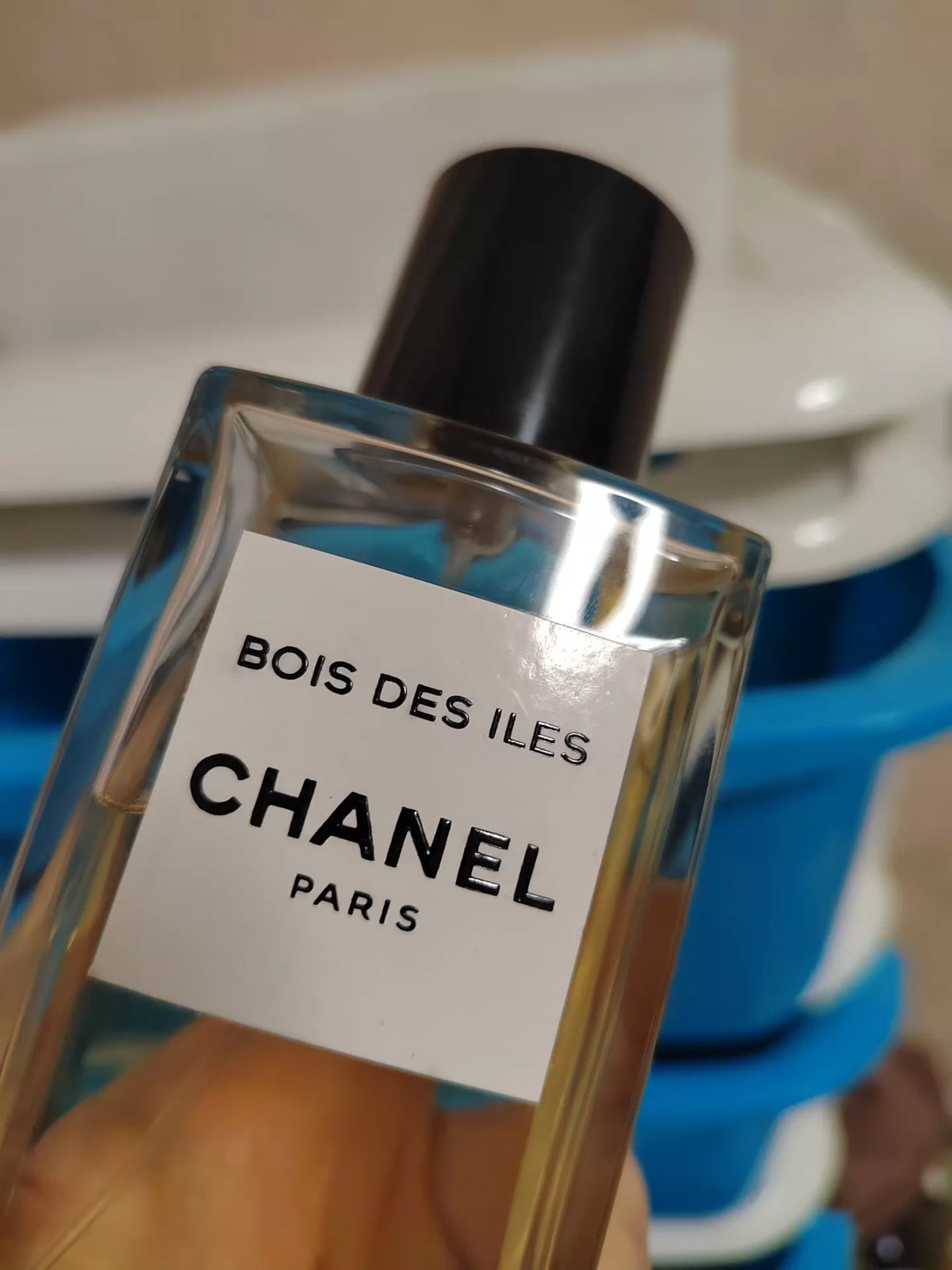 141026-28 Chanel Island Forest Negotiate EDP