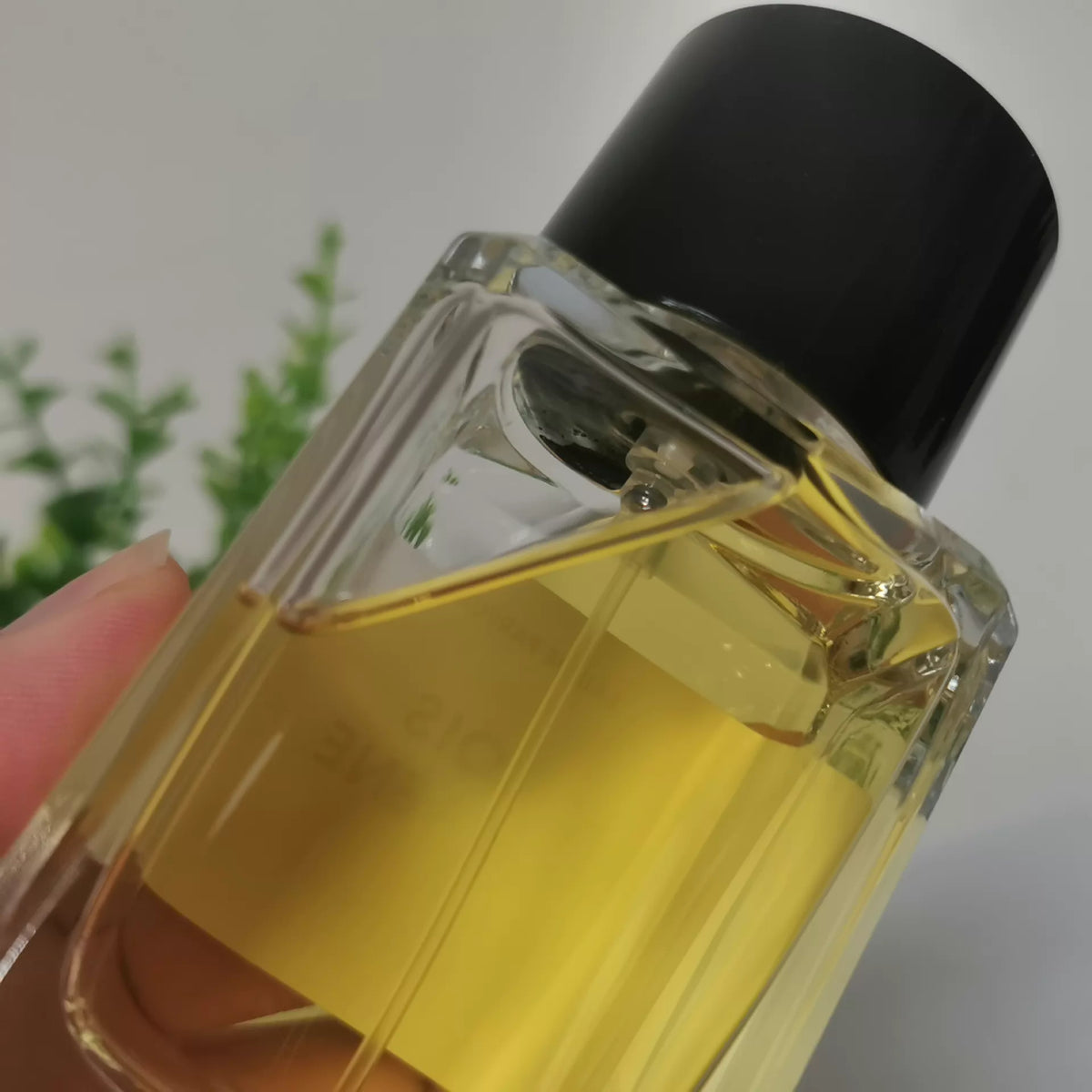 021026-52 Matthieu Silent Forest Perfume 100ml 3.4 oz
