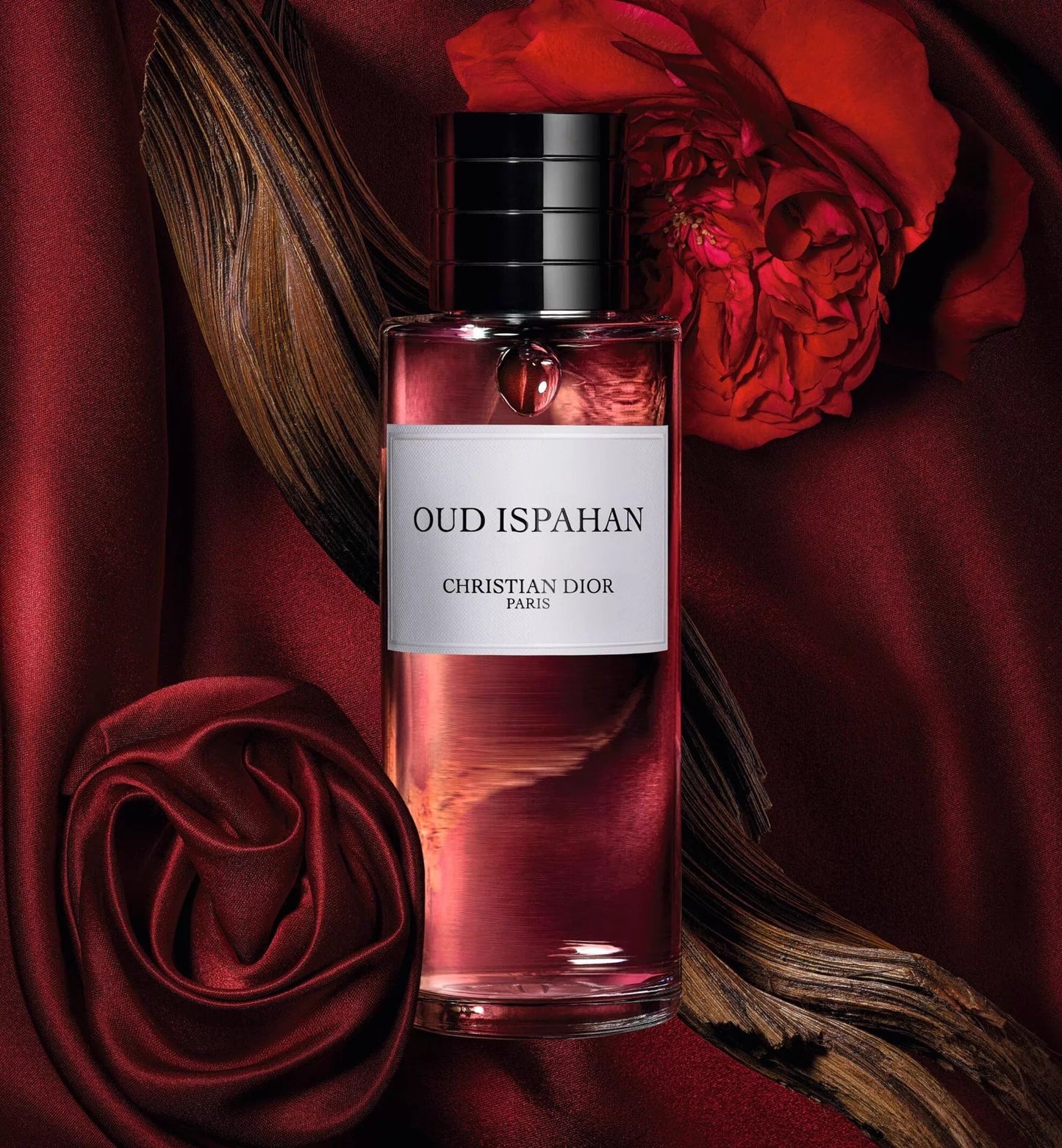 100626-40 Dior Dark Wood 250ml 8.5 oz