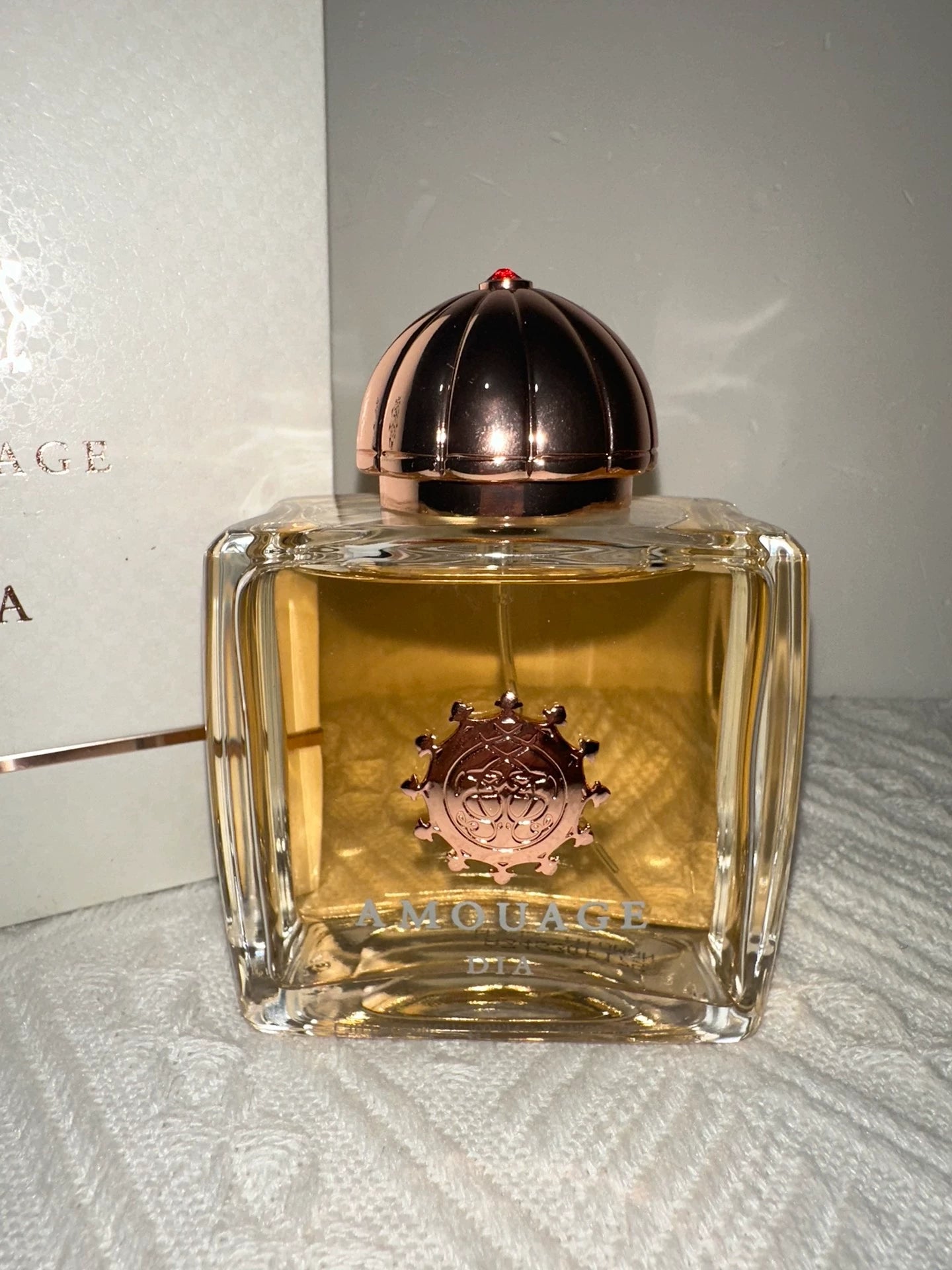 190326-70 Amodia women Perfume 100ml  3.4oz