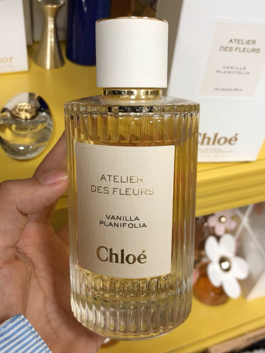150726-169 Chloe Wonderland Garden 150ml 5.1 oz