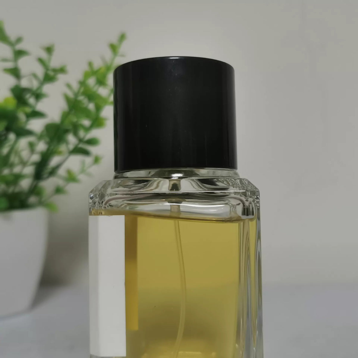 021026-52 Matthieu Silent Forest Perfume 100ml 3.4 oz