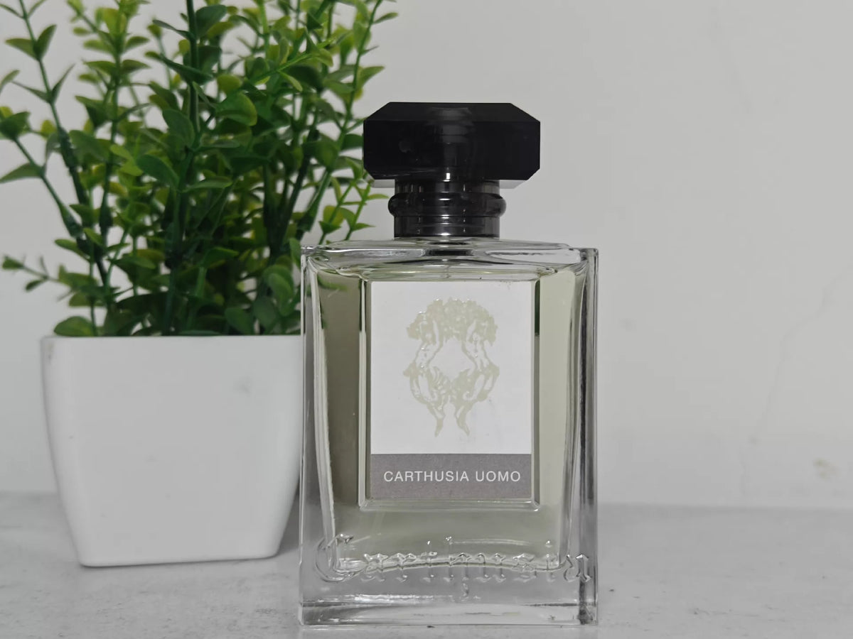 021026-27 Capri Men 100ml 3.4 oz