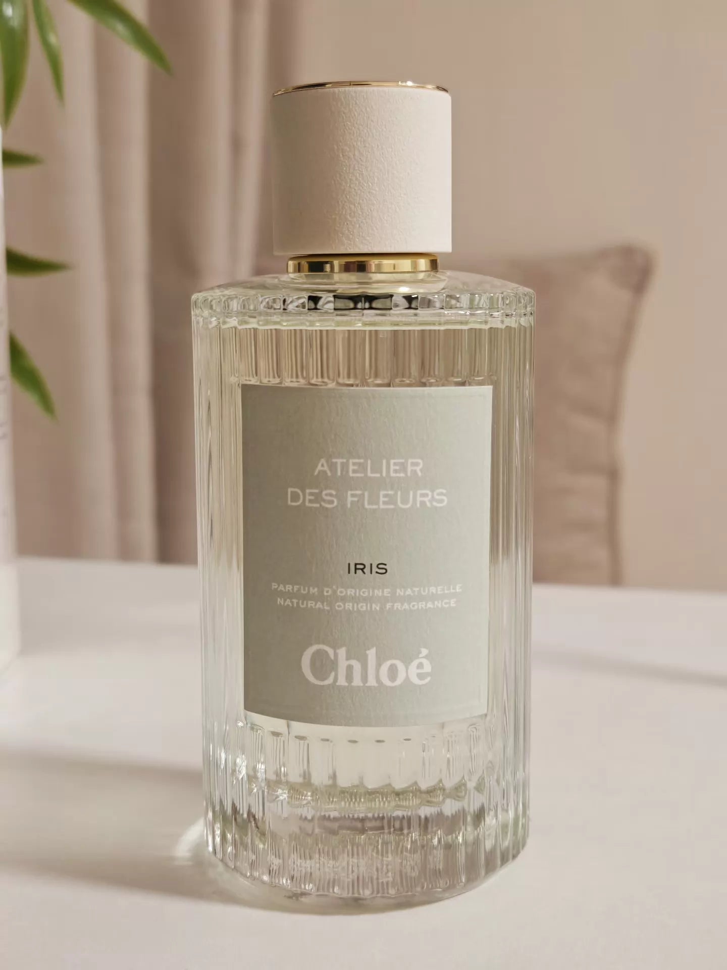 020426-229 Chloé-Iris Arashiyama Perfume 10ml 0.3 oz