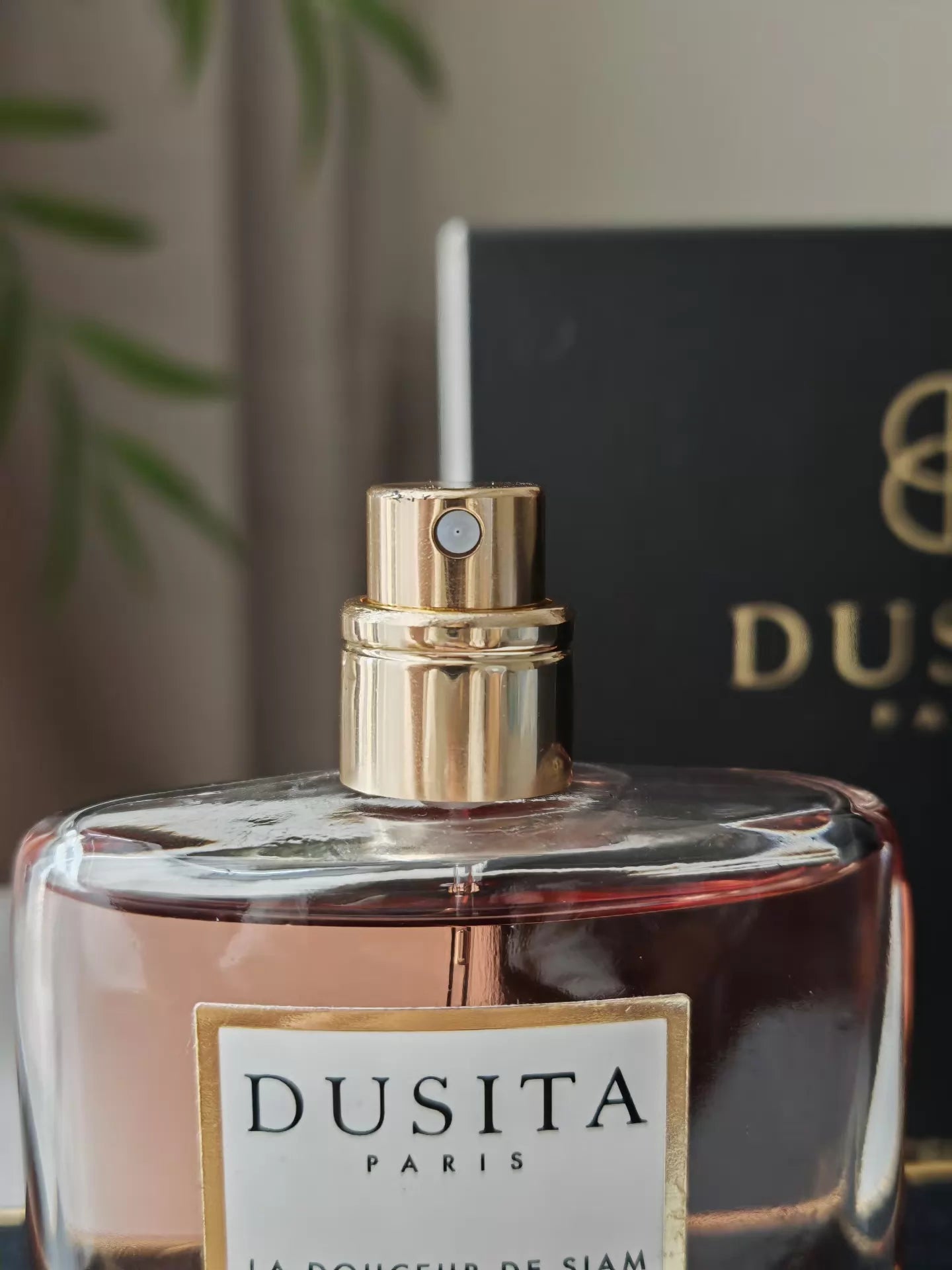 020426-183 Dacita Siam Rouya Parfum 50ml 1.7 oz