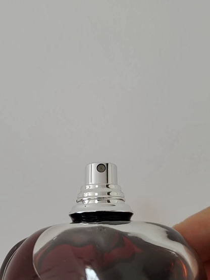 041026-90 Dior poison girl Perfume 100ml 3.4 oz