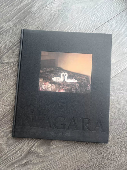 260926-102 Niagara Alec Soth