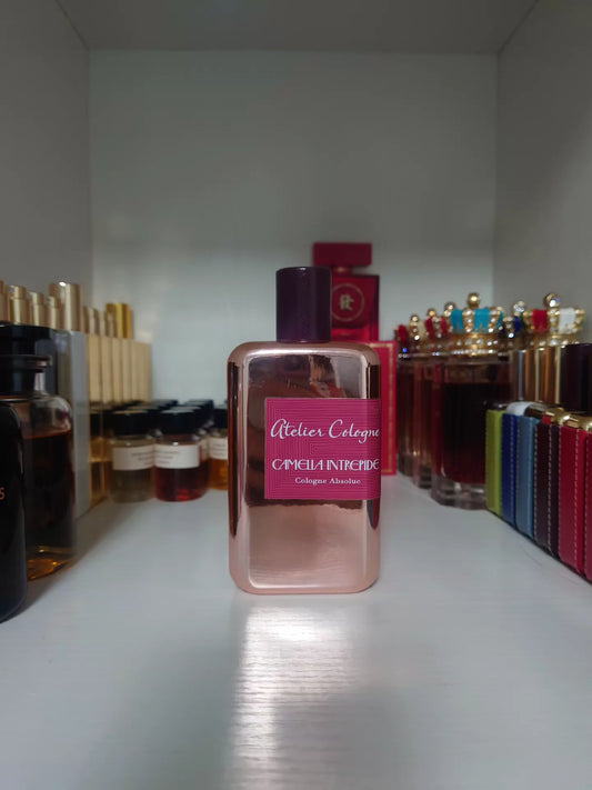 Oulon camellia ode Perfume