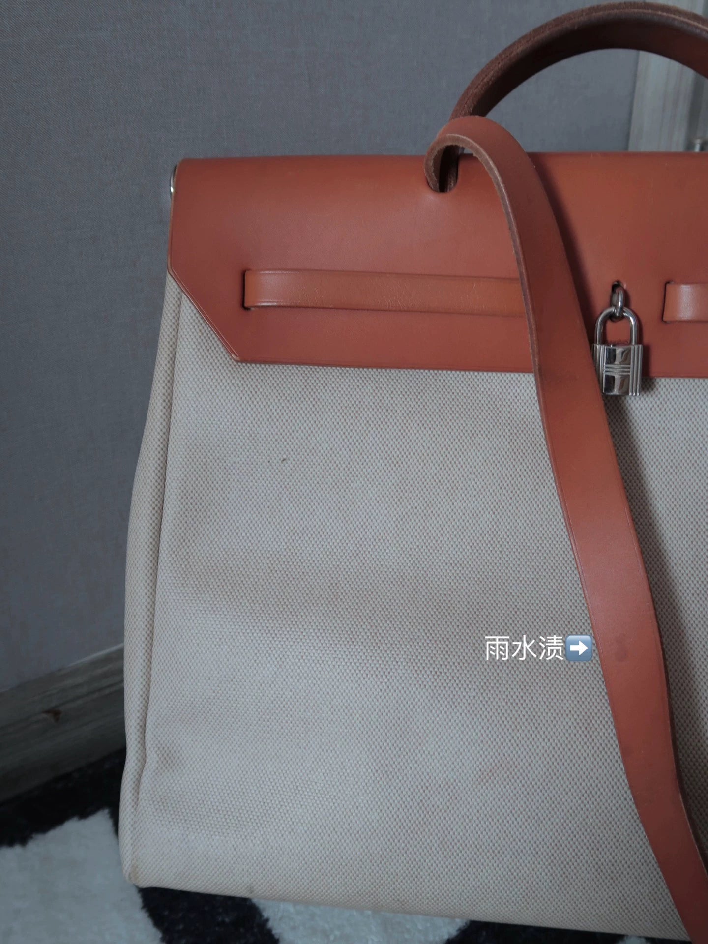 Jun25-bag-49 Auth Hermes Herbag 39 MM canvas Tote handbag shoulder bag