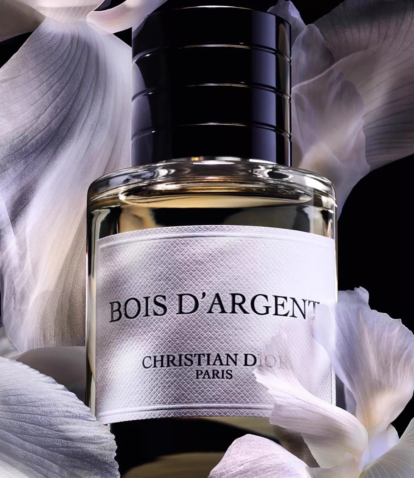 100626-18 Dior Silver Shadow Clear 250ml 8.5 oz