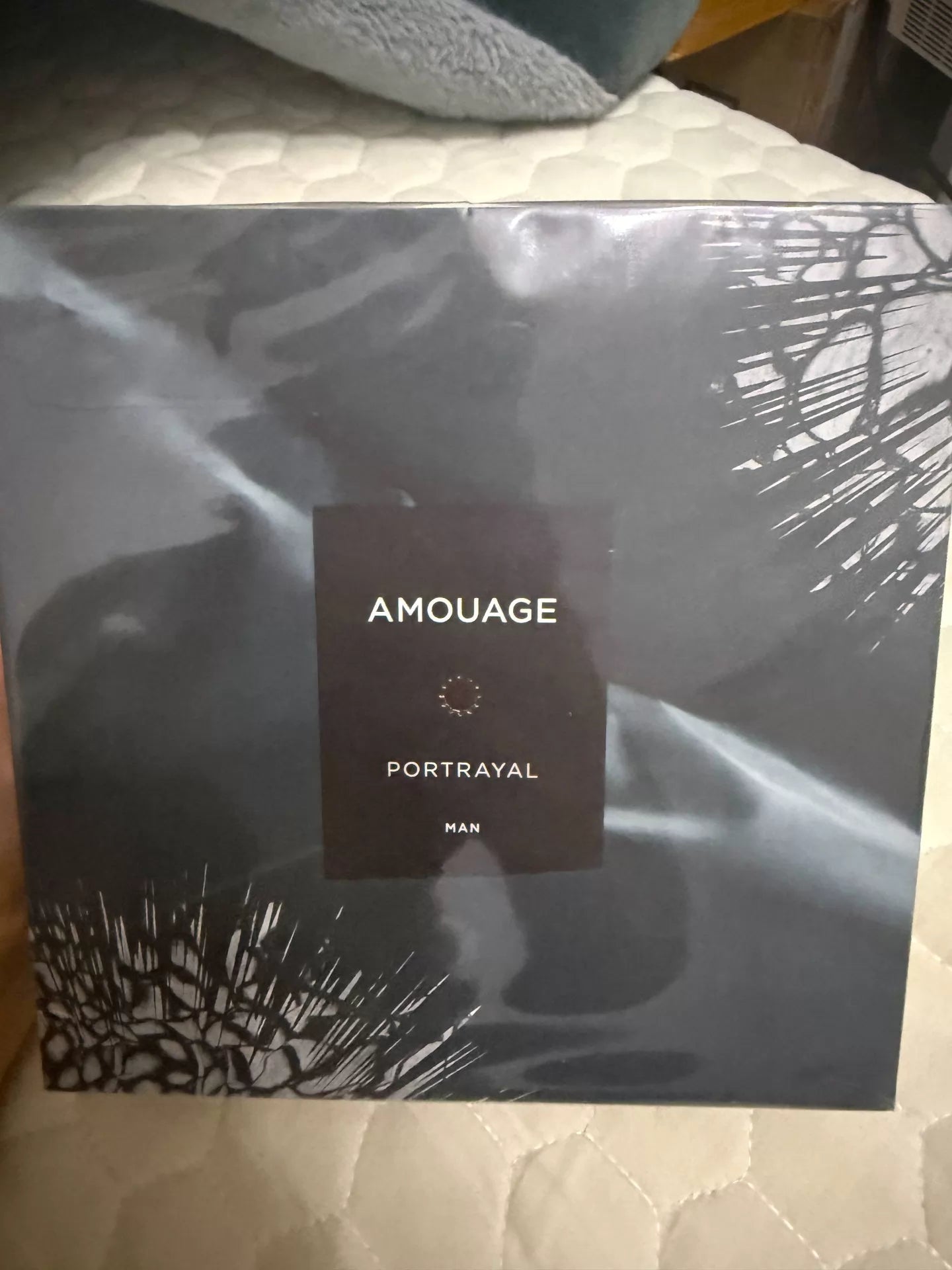 180826-27 Amouage Portrayal Man men Perfume 100ml 3.4 oz