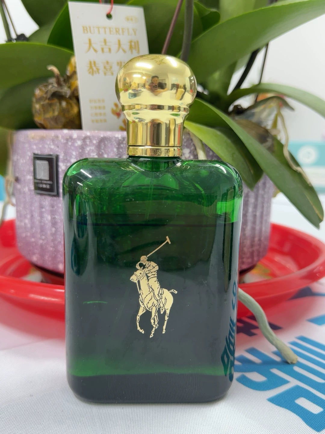 060626-14 Ralph Lauren French Ralph Lauren Xiao Zhan endorsed Green Polo Polo Oud Ebony Amber Woody Perfume Parfum 200ml 6.8 oz