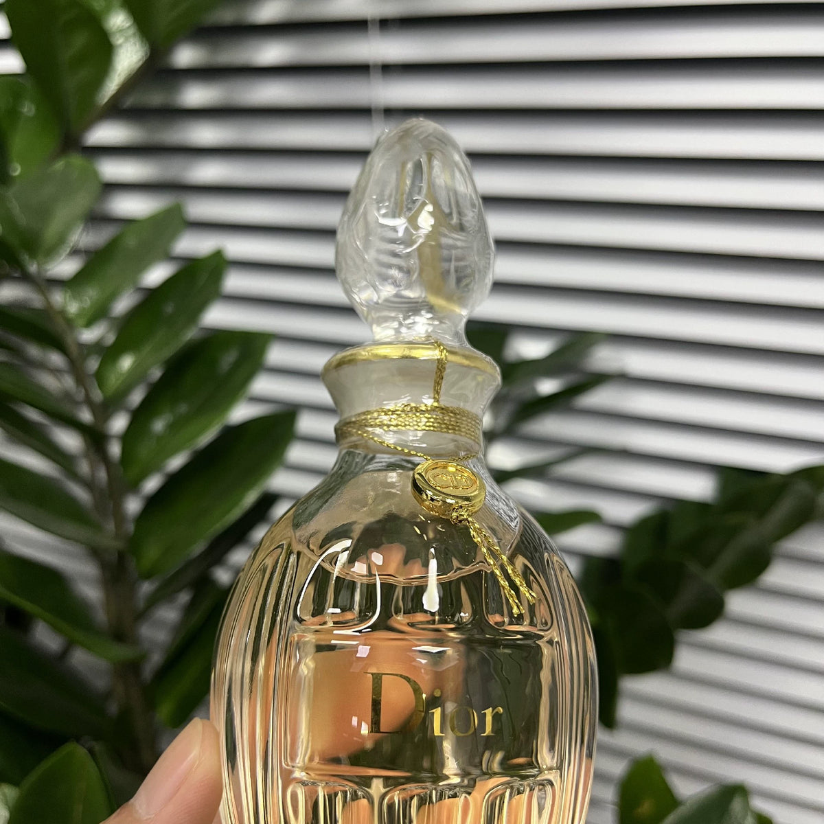 05826-625 Dior True Me Intense 150ml 5.1 oz
