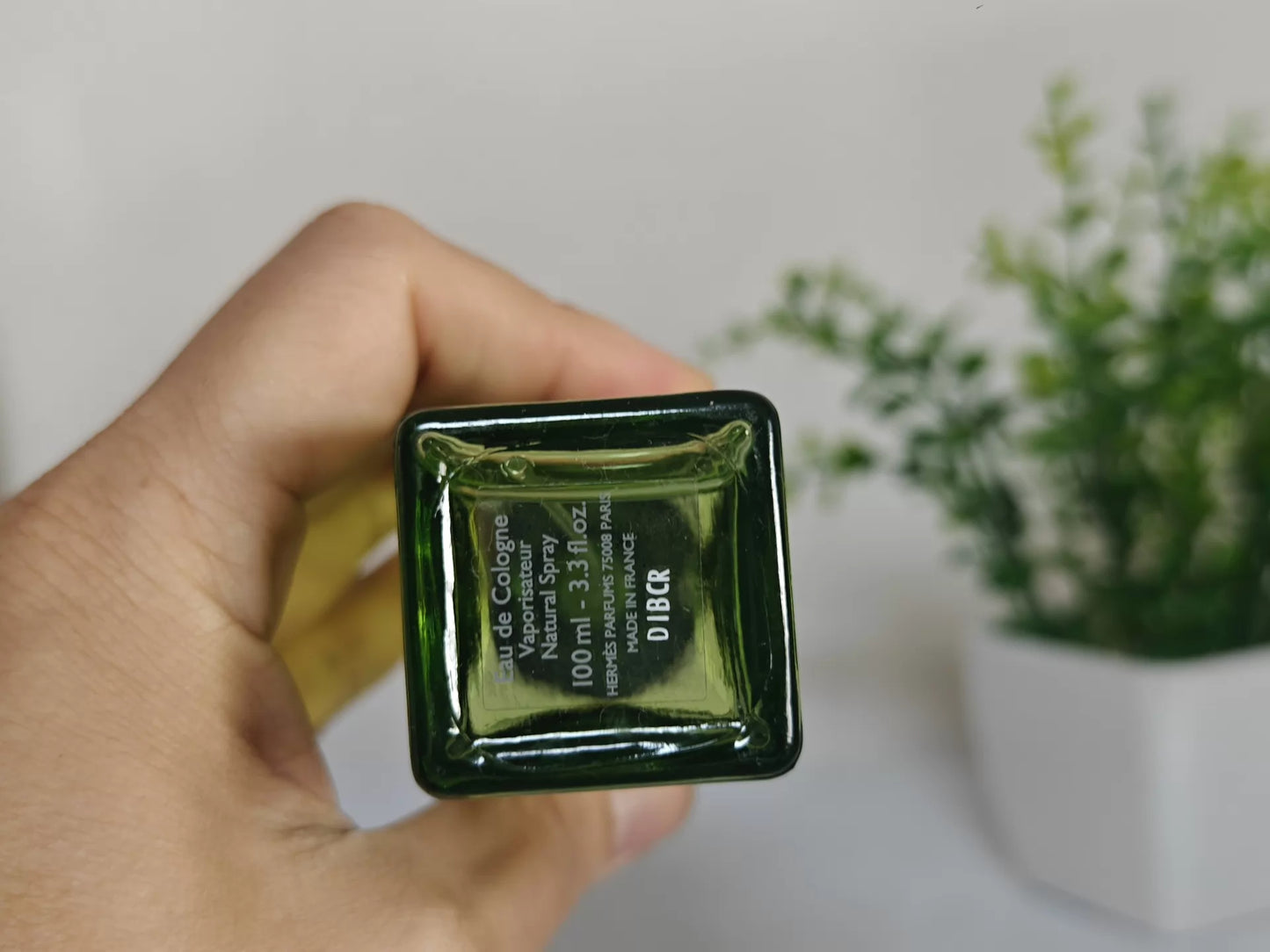 080826-214 Grapefruit Perfume 100ml 3.4 oz