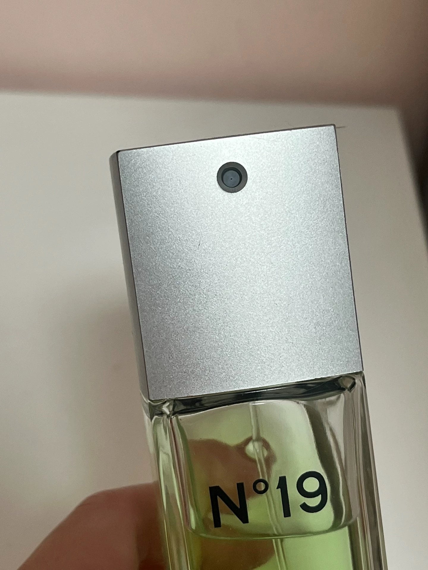 230526-107 Chanel N19 EDT 100ml 3.4 oz