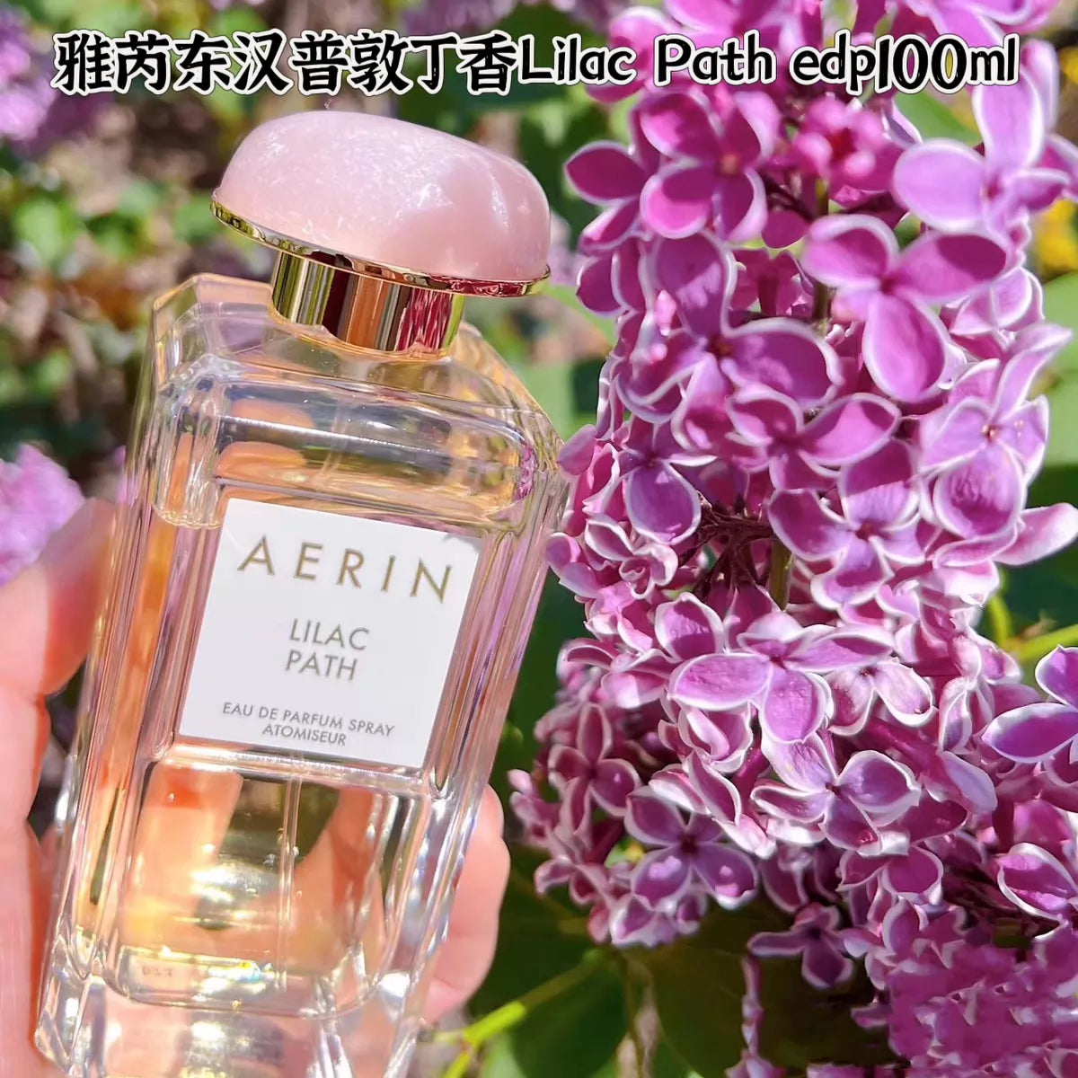 010926-95 AERIN AERIN Easthampton EDP 50ml 1.7 oz