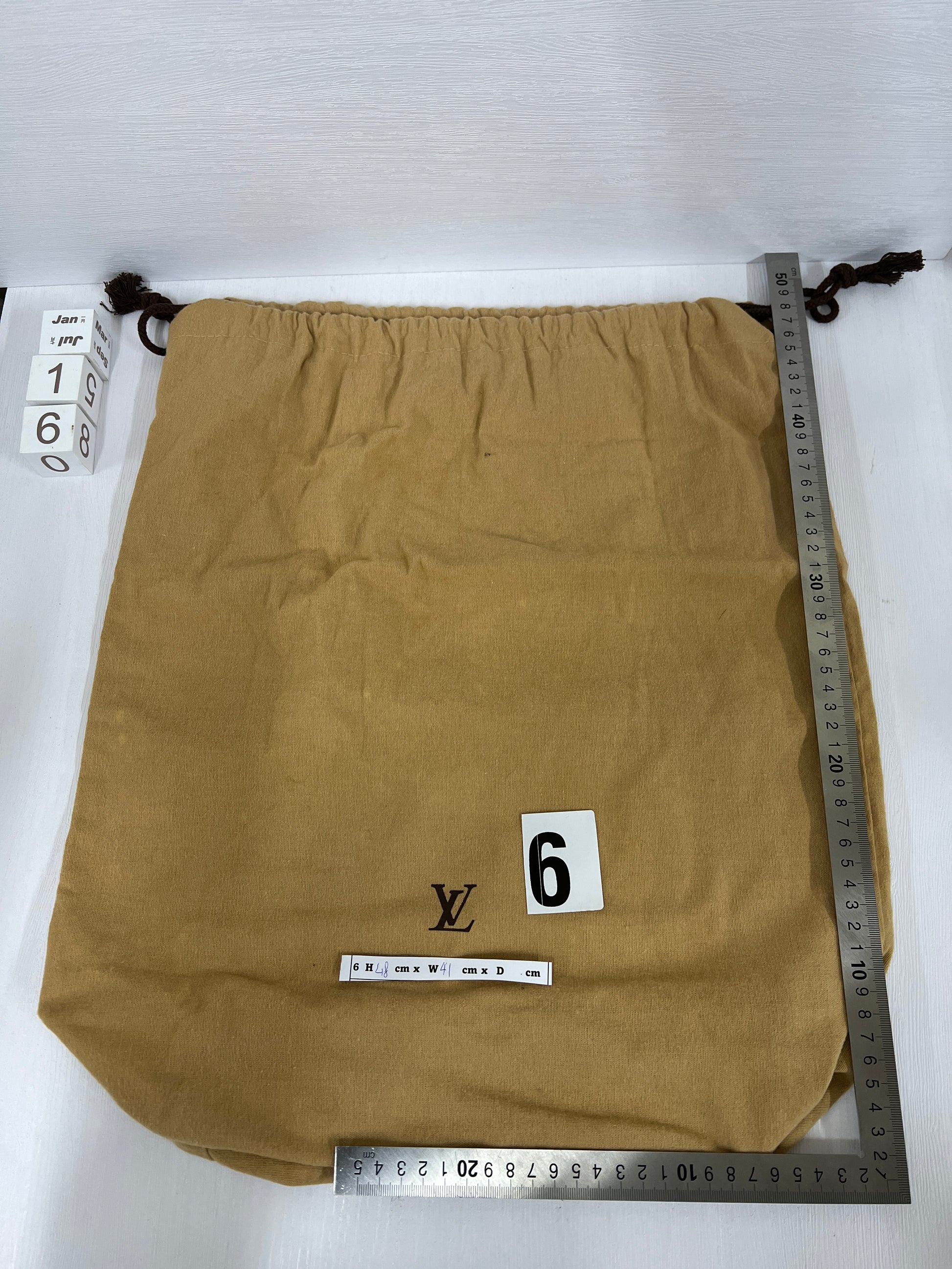 Louis Vuitton Dust Zipper Bag 16'' x 21" for shoes