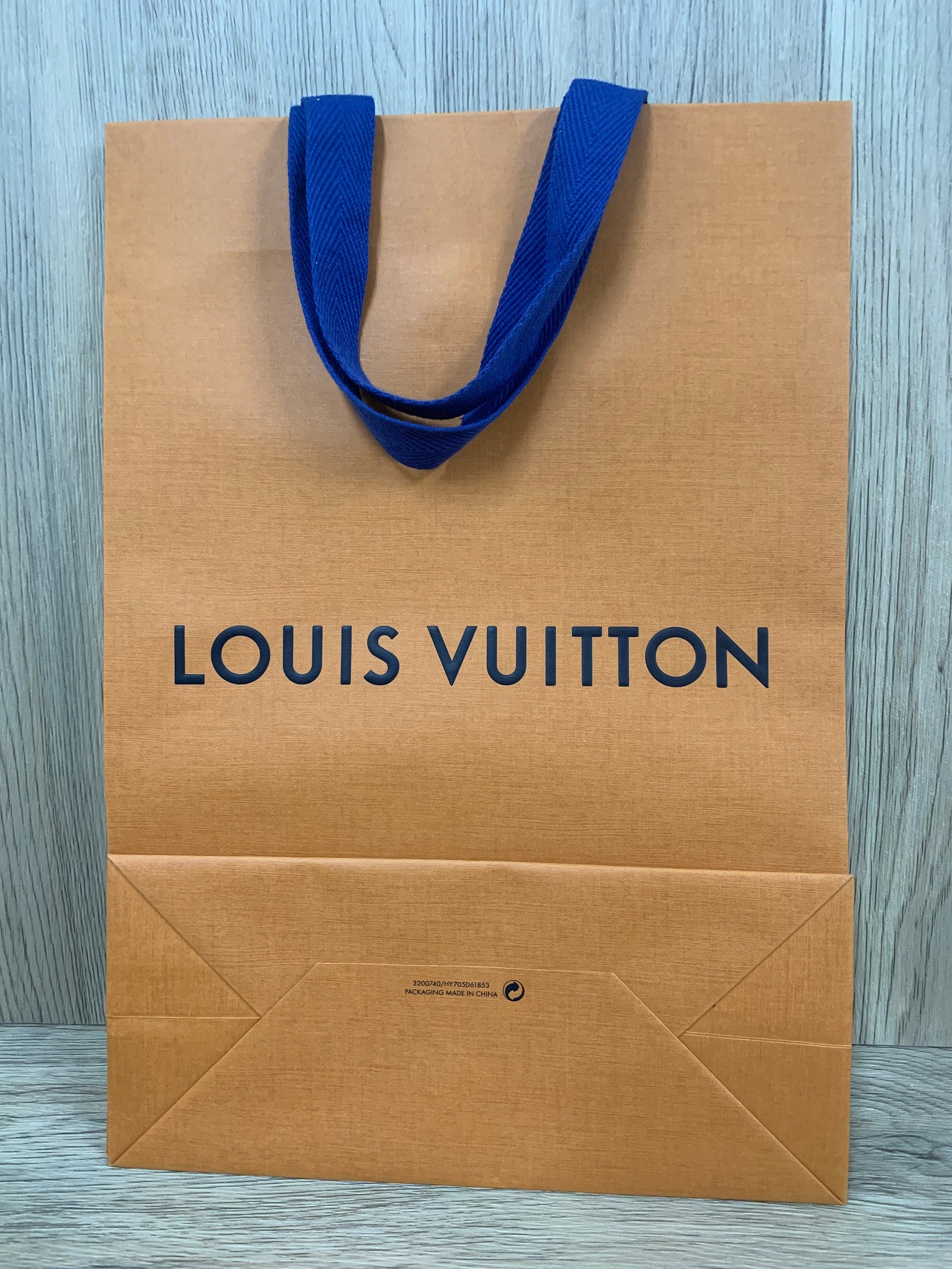 Authentic Louis Vuitton LV Paper Bag Medium